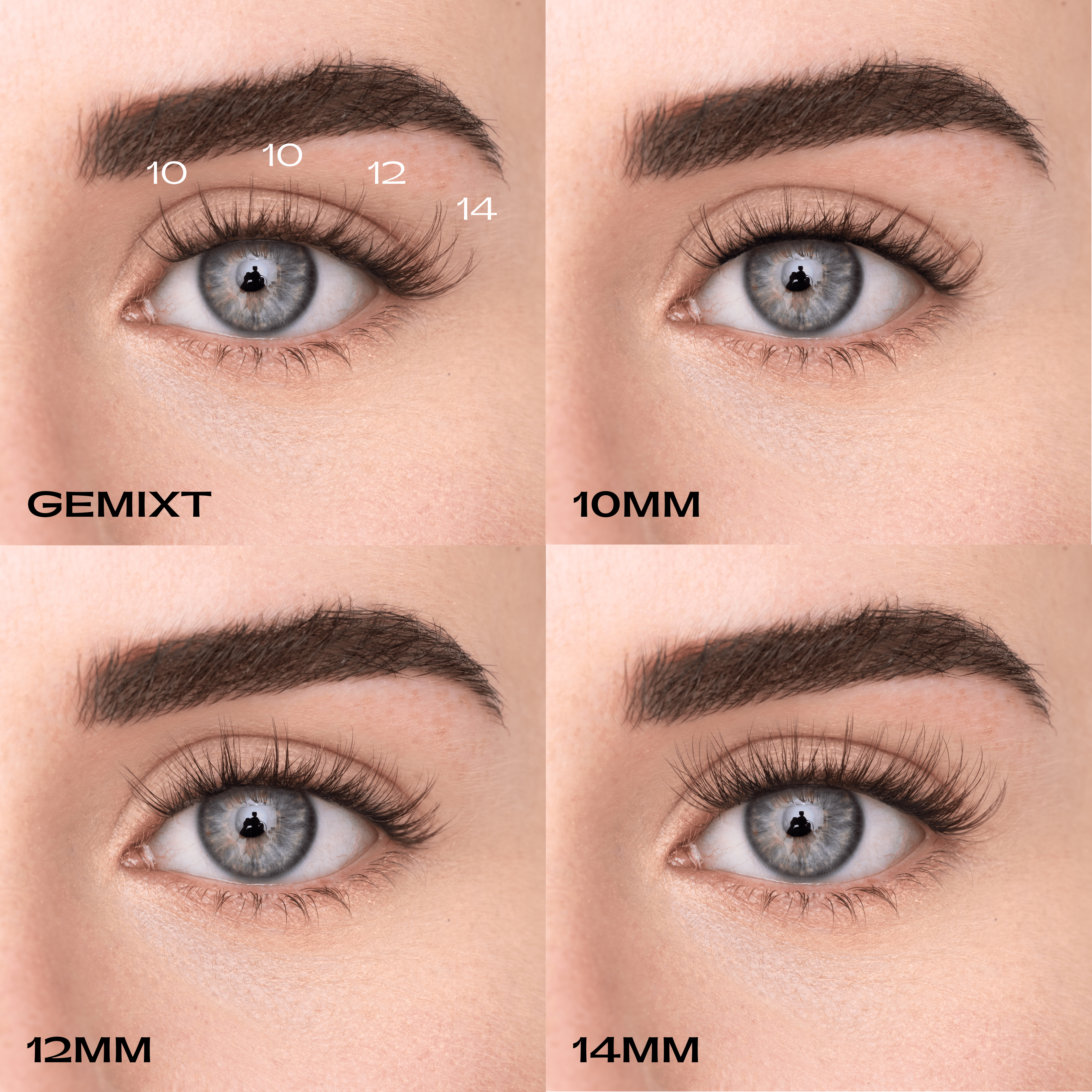 WISPY KIT - MAYSON Cosmetics